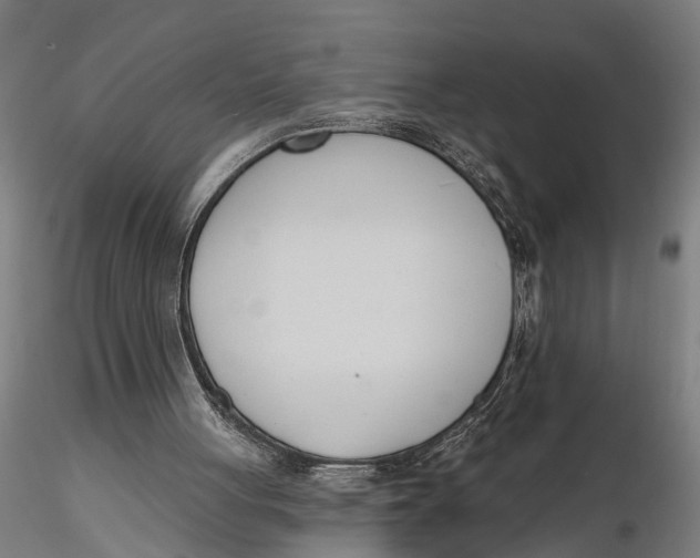 X0000116150051200912141207