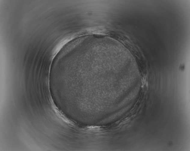 X0000116150052200912141207