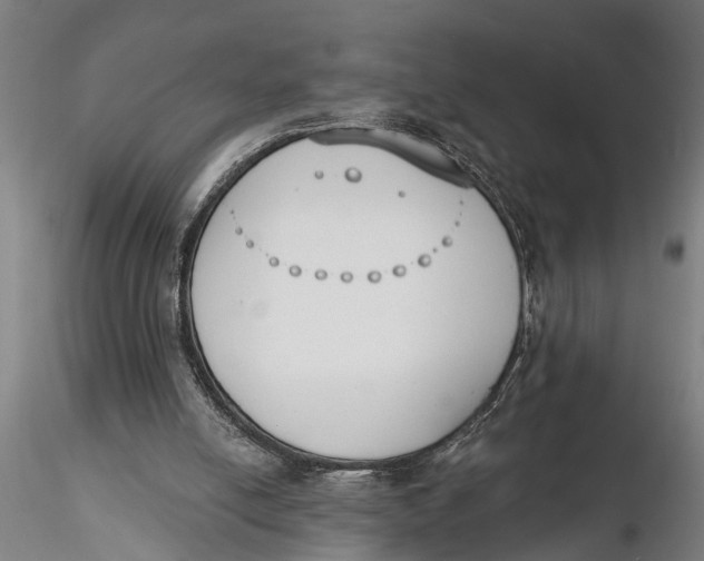 X0000116150054200912141207