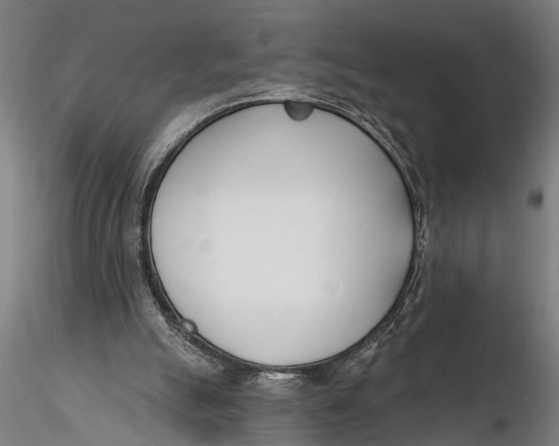 X0000116150055200912141207