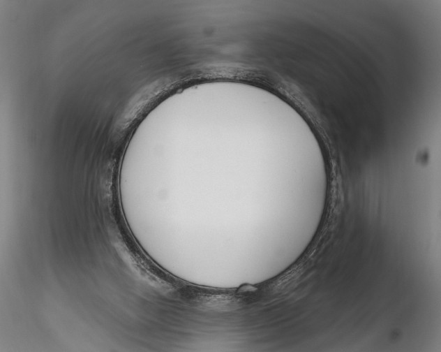 X0000116150058200912141207