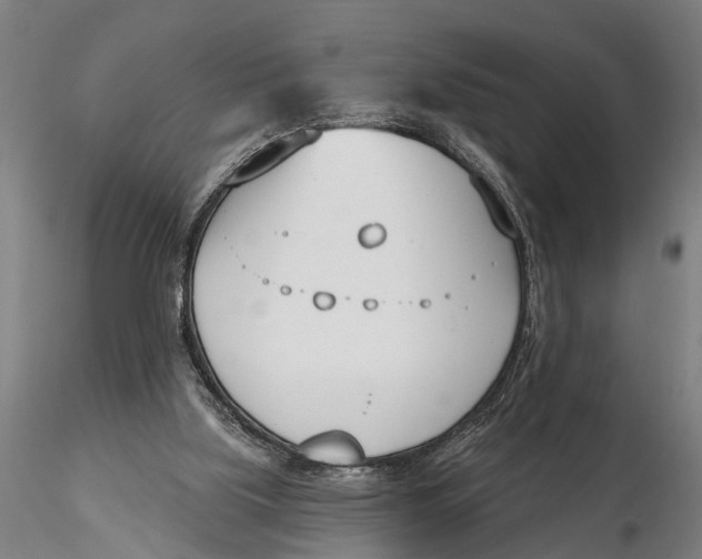 X0000116150059200912141207