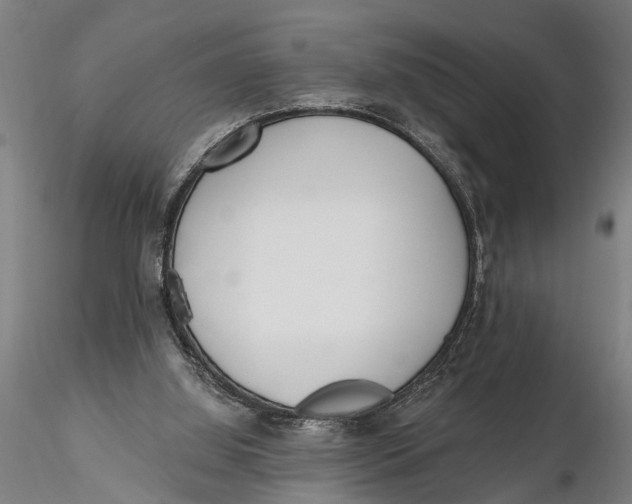 X0000116150060200912141207