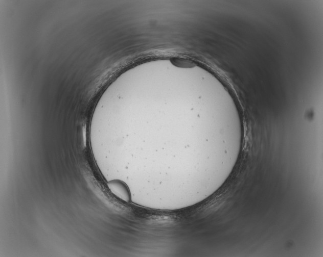 X0000116150061200912141207