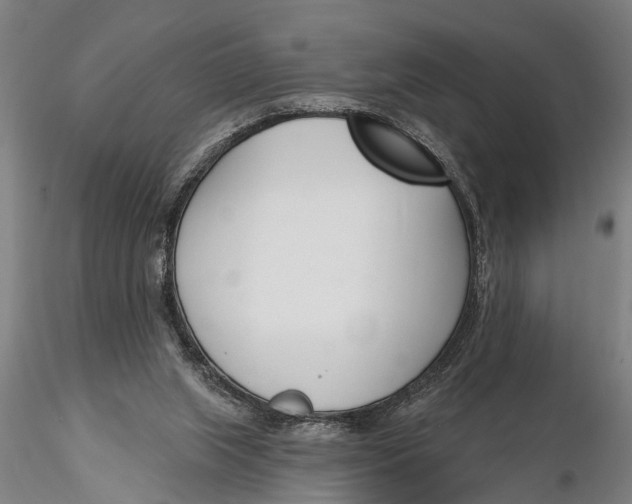 X0000116150063200912141207