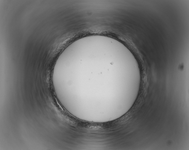 X0000116150066200912141207