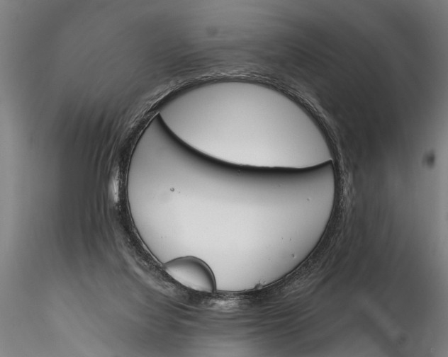 X0000116150068200912141207