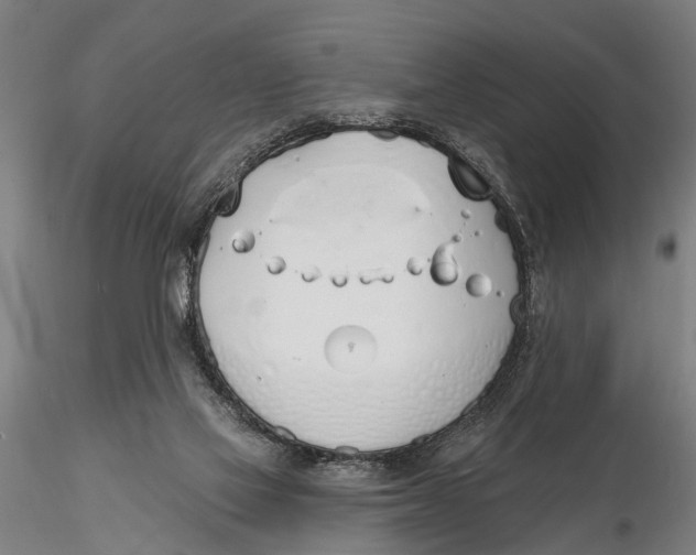 X0000116150069200912141207