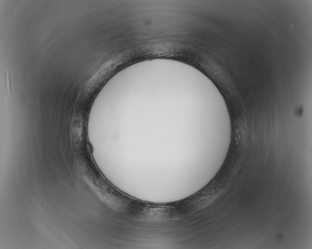 X0000116150072200912141207