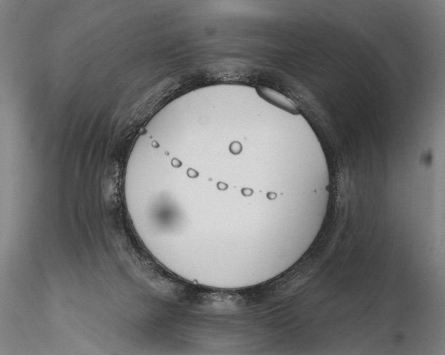 X0000116150073200912141207