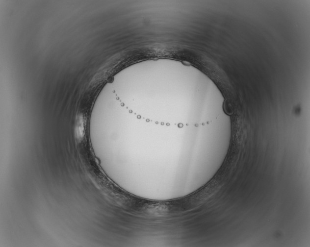 X0000116150075200912141208