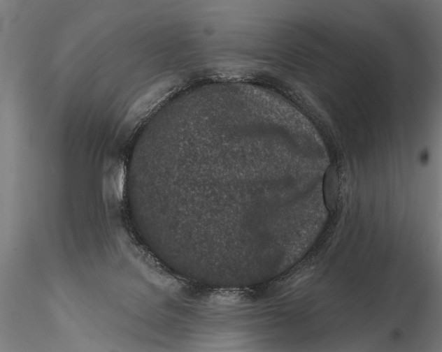 X0000116150076200912141208