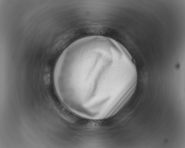 X0000116150080200912141208