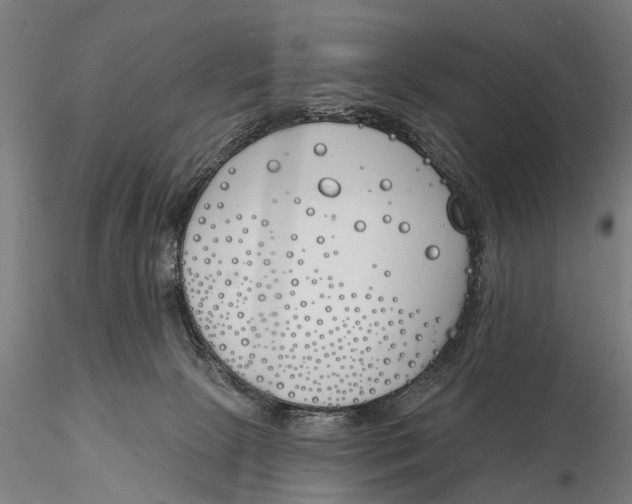 X0000116150081200912141208