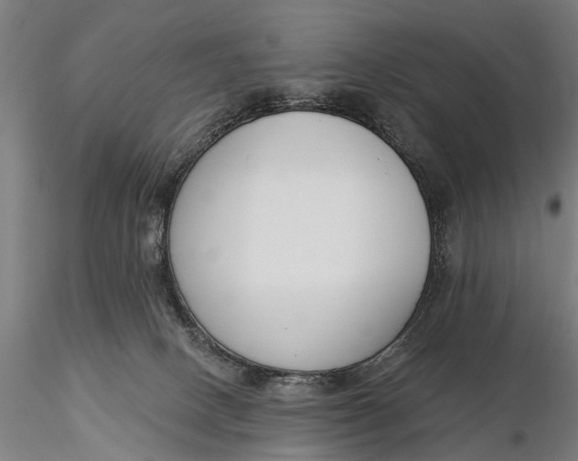 X0000116150082200912141208