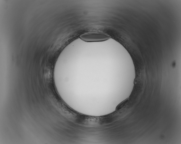 X0000116150084200912141208