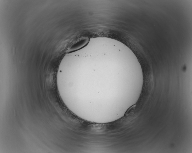 X0000116150088200912141208