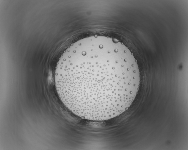 X0000116150089200912141208