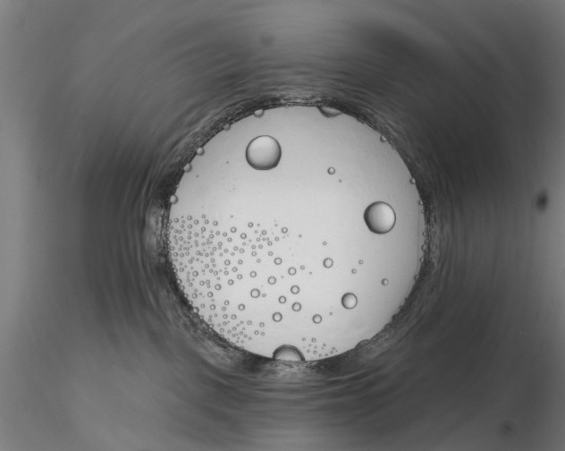 X0000116150093200912141208