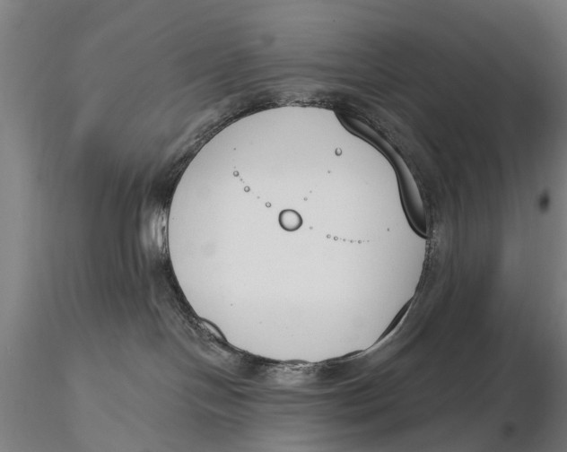 X0000116150094200912141208