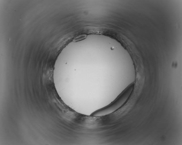 X0000116150096200912141208