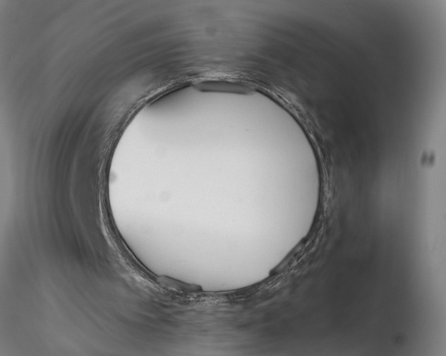 X0000116150097200912141207