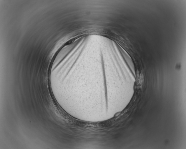 X0000116150099200912141207