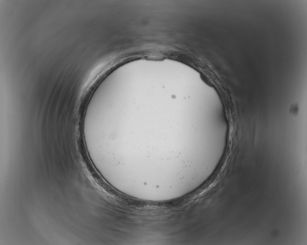 X0000116150101200912141207