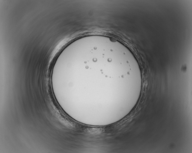 X0000116150102200912141207