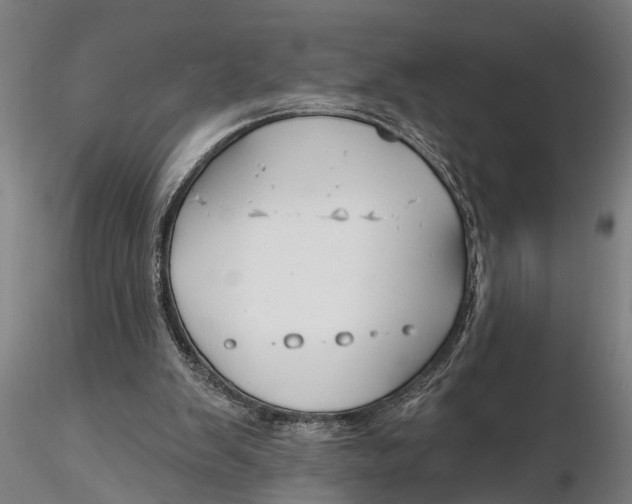 X0000116150103200912141207