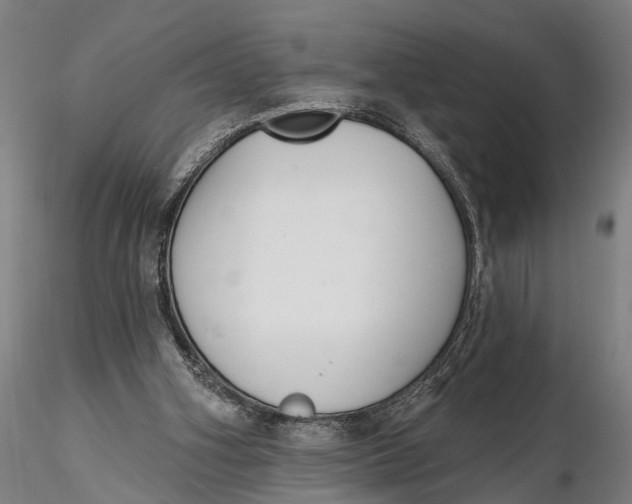 X0000116150106200912141207