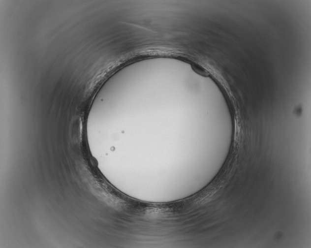 X0000116150109200912141207