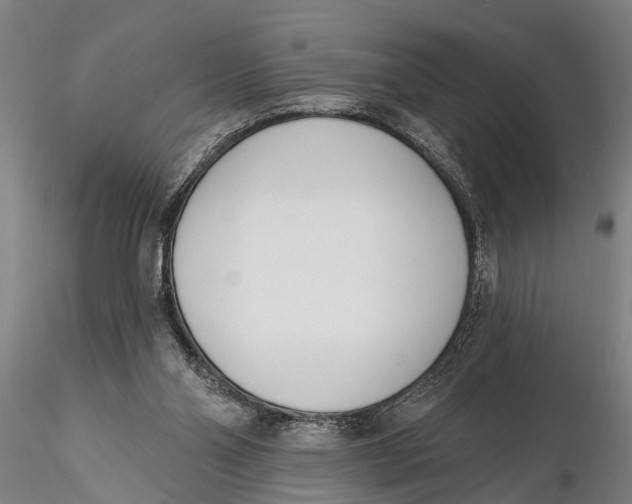 X0000116150110200912141207