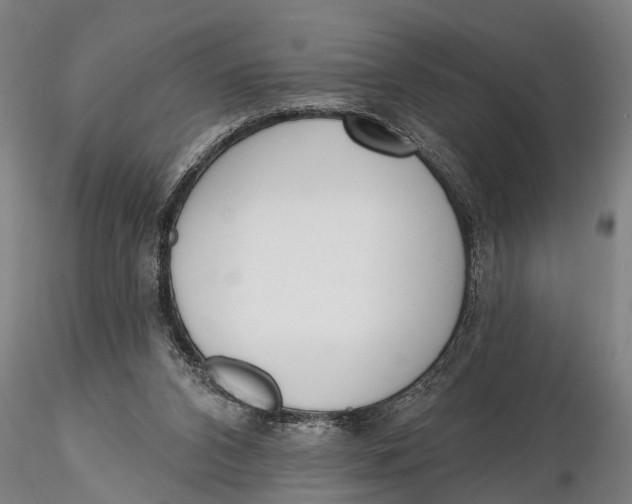 X0000116150112200912141207