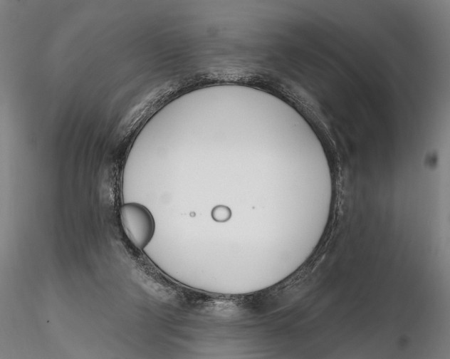 X0000116150114200912141207