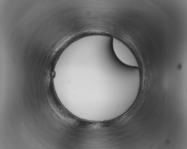 X0000116150116200912141207