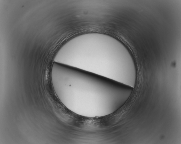 X0000116150117200912141207