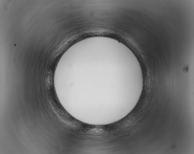 X0000116150119200912141207