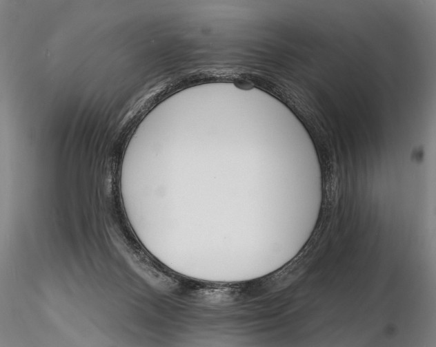 X0000116150120200912141207