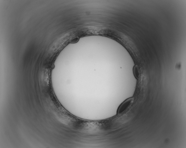 X0000116150121200912141207