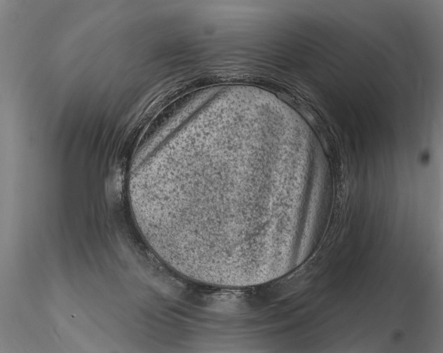 X0000116150124200912141207