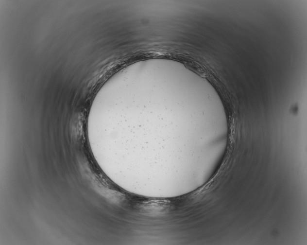 X0000116150128200912141207