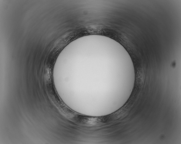 X0000116150130200912141207