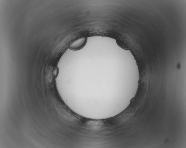 X0000116150133200912141207