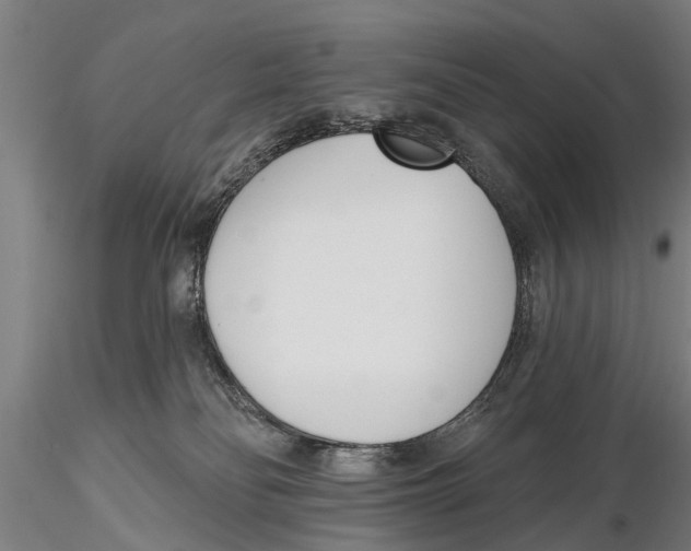 X0000116150134200912141207