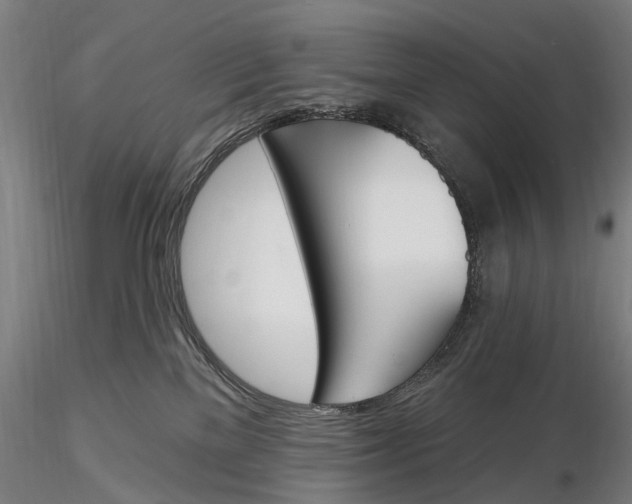 X0000116150137200912141207