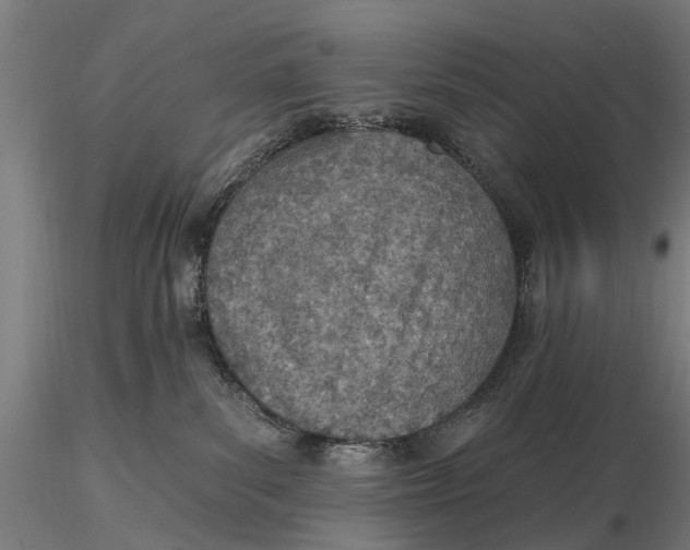 X0000116150139200912141207