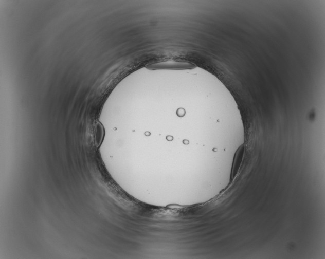 X0000116150140200912141207