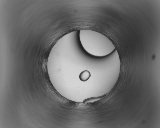 X0000116150141200912141207