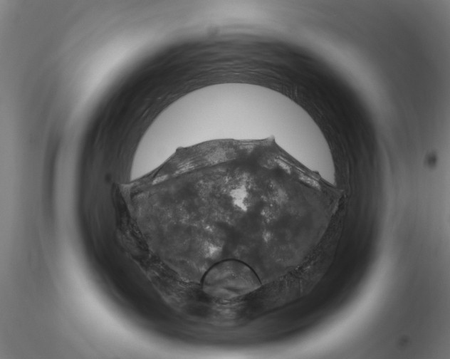 X0000116150143200912141207